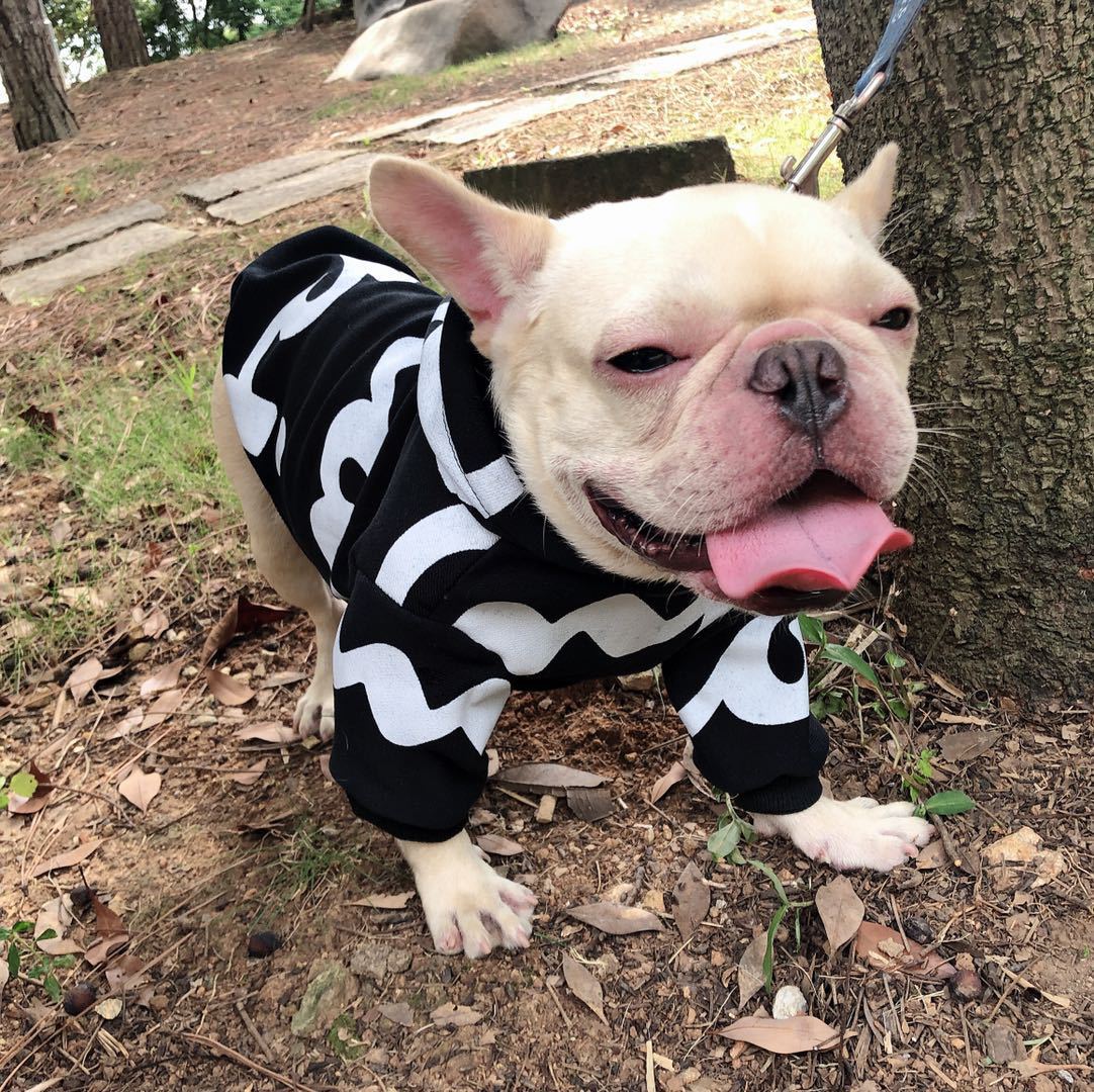 Pet Fashion Clothes Black Fashion Clothes Versatile