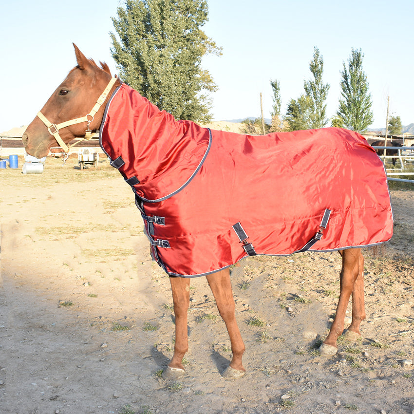 Winter Padded Cotton Horse Jacket With Bib
