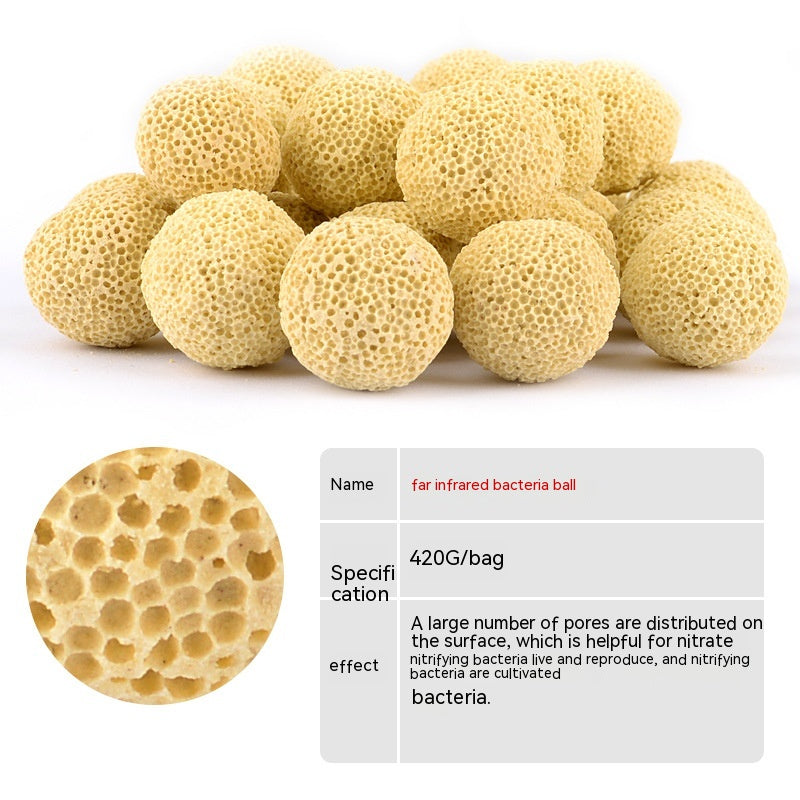 bb433853070045bd901682ea13819c51
