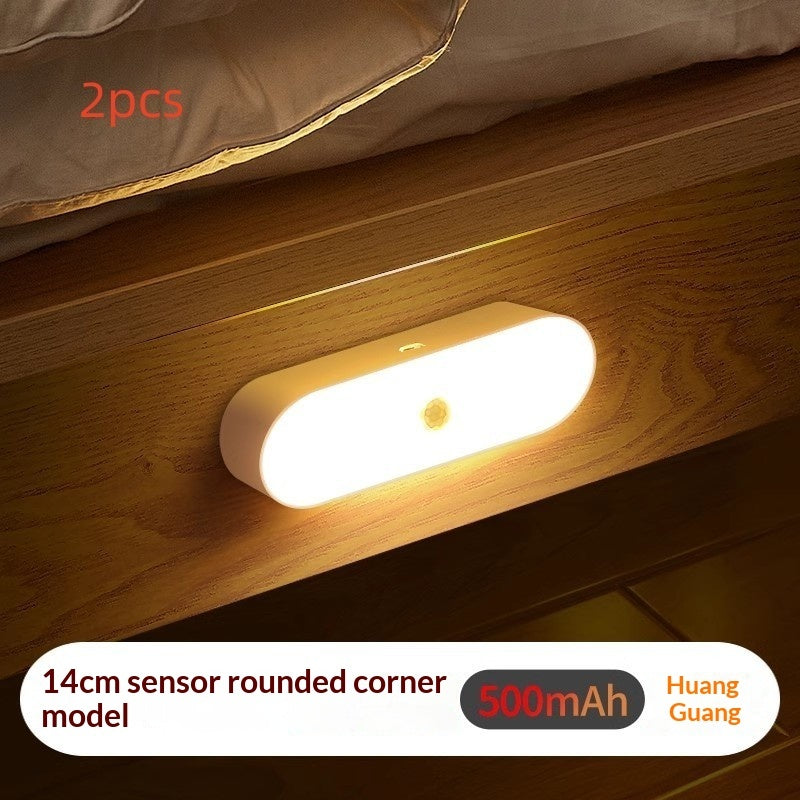 Human Sensor Night Light For Home, Corridor Stair Sound Control Lamp