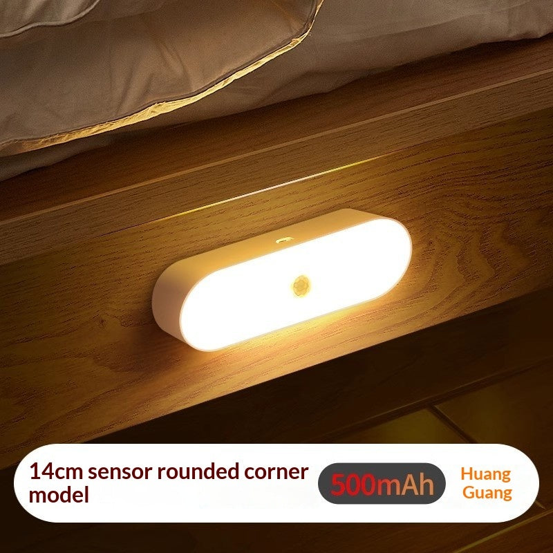 Human Sensor Night Light For Home, Corridor Stair Sound Control Lamp